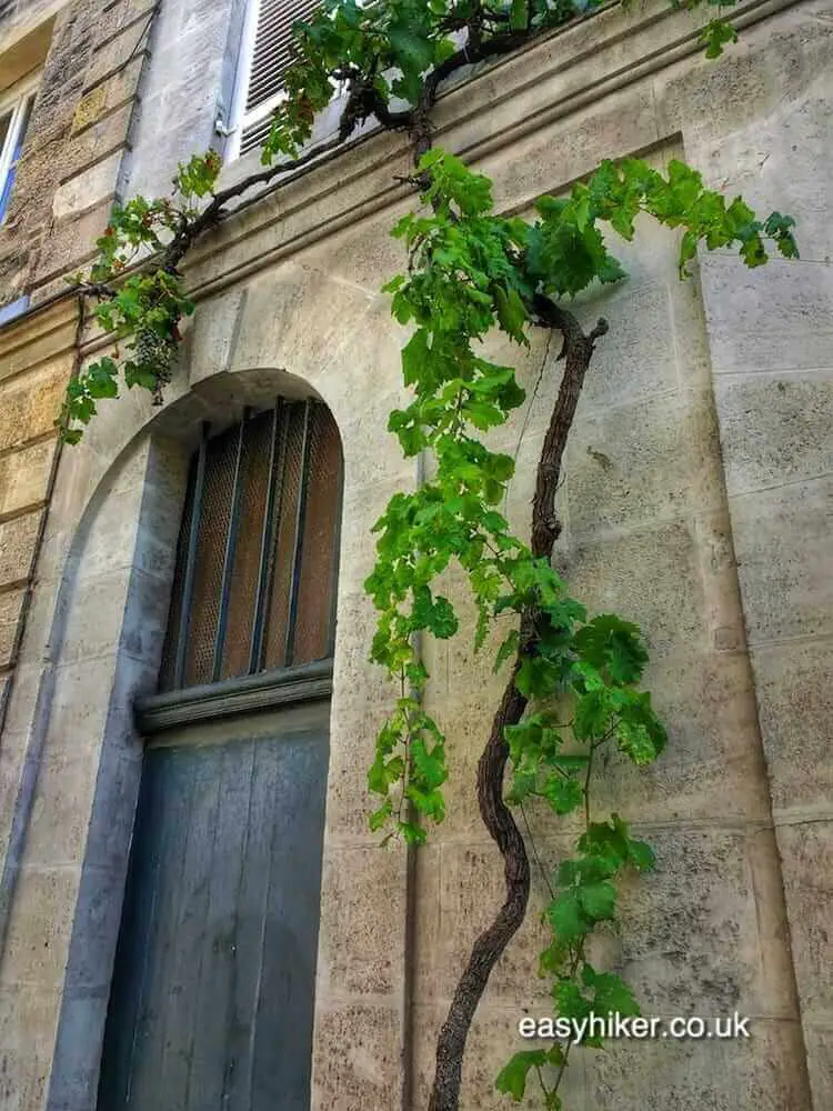 "Bordeaux and its Wines - The Town"