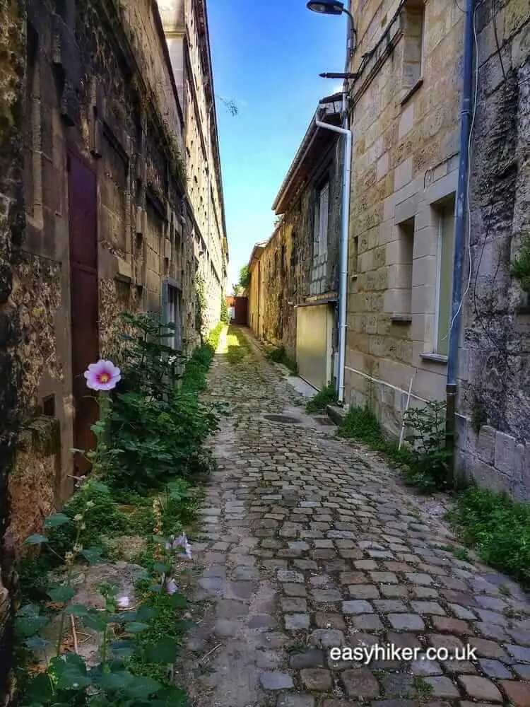 "Bordeaux and its Wines - The Town"