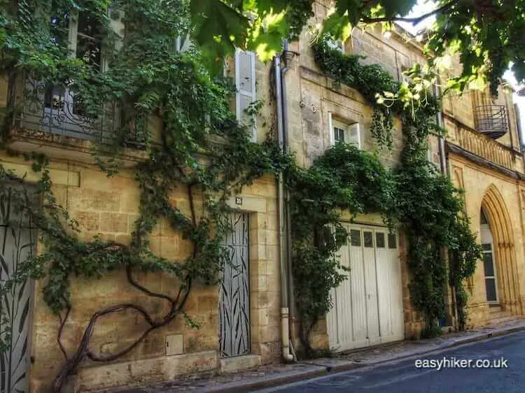 "Bordeaux and its Wines - The Town"