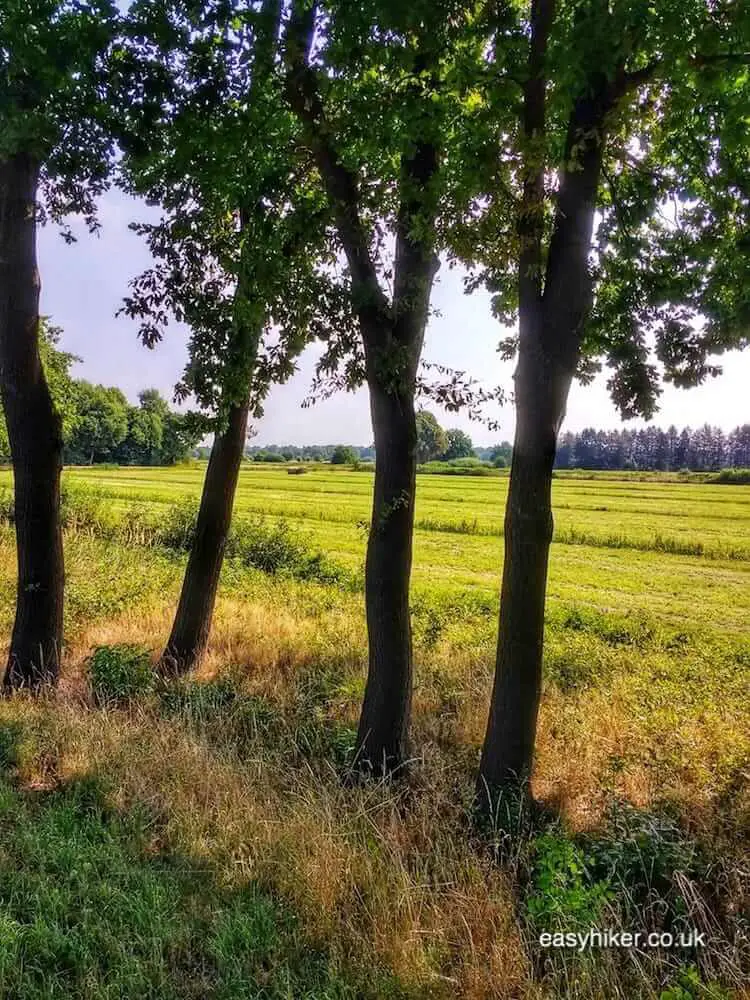 "Apple Trees, Windswept Dikes and the Charms of Palookaville"