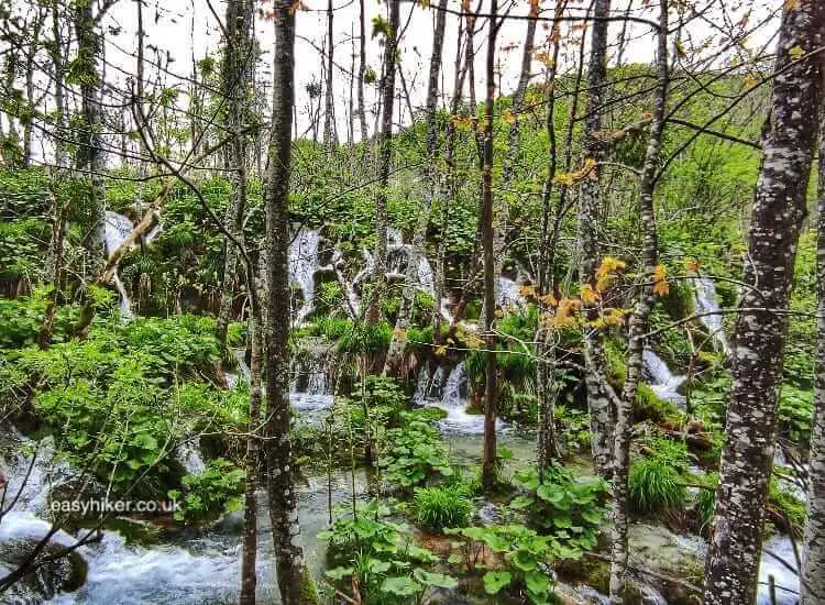 "A Place To Visit Before You Die Plitvice Lakes Croatia"