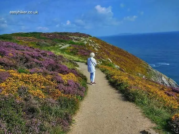 "The Eye of Ireland, the Nose of Howth"