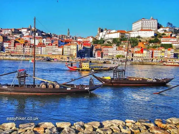 "Serependity with a One-Day Travel Pass in Porto"