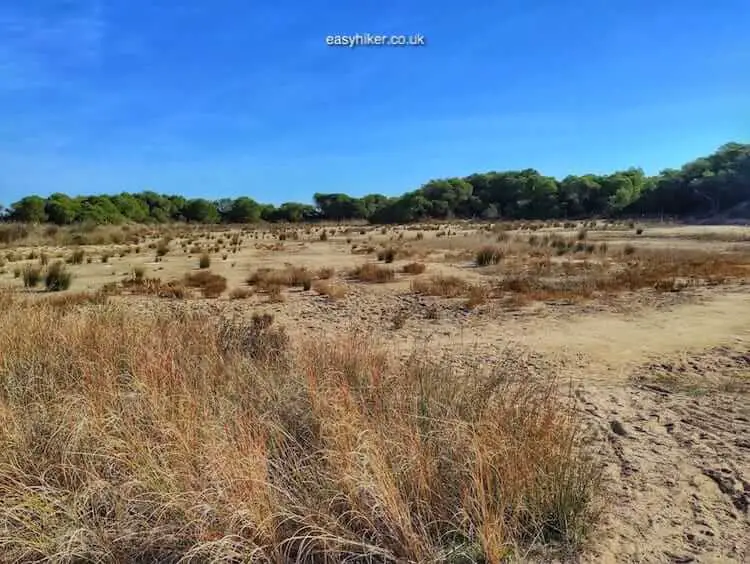 "Wetlands of Valencia"