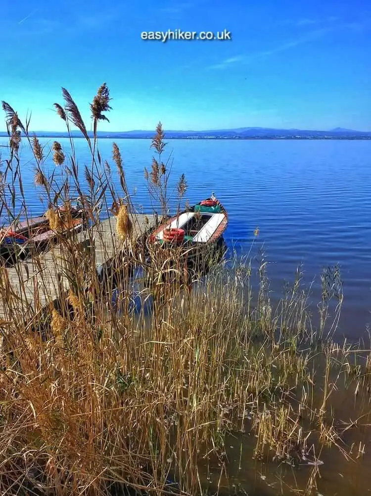 "Wetlands of Valencia"