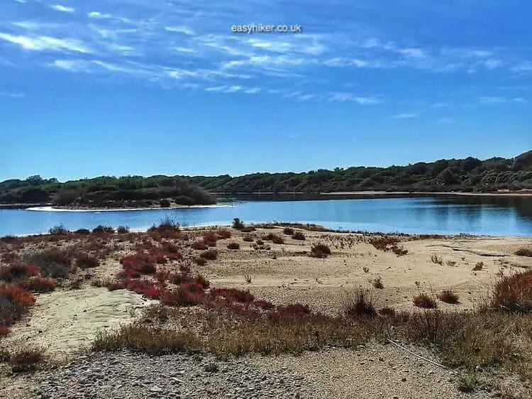 "Wetlands of Valencia"