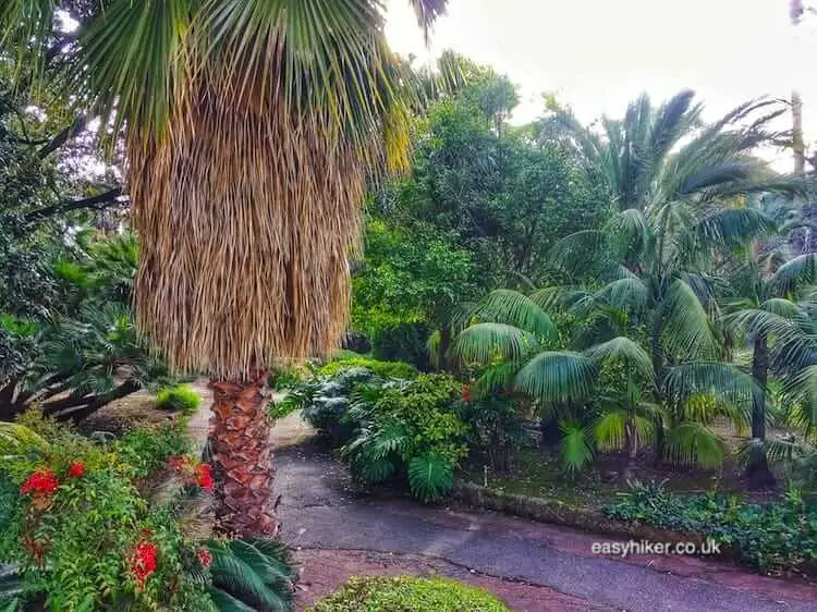 "Gardens of Sanremo"