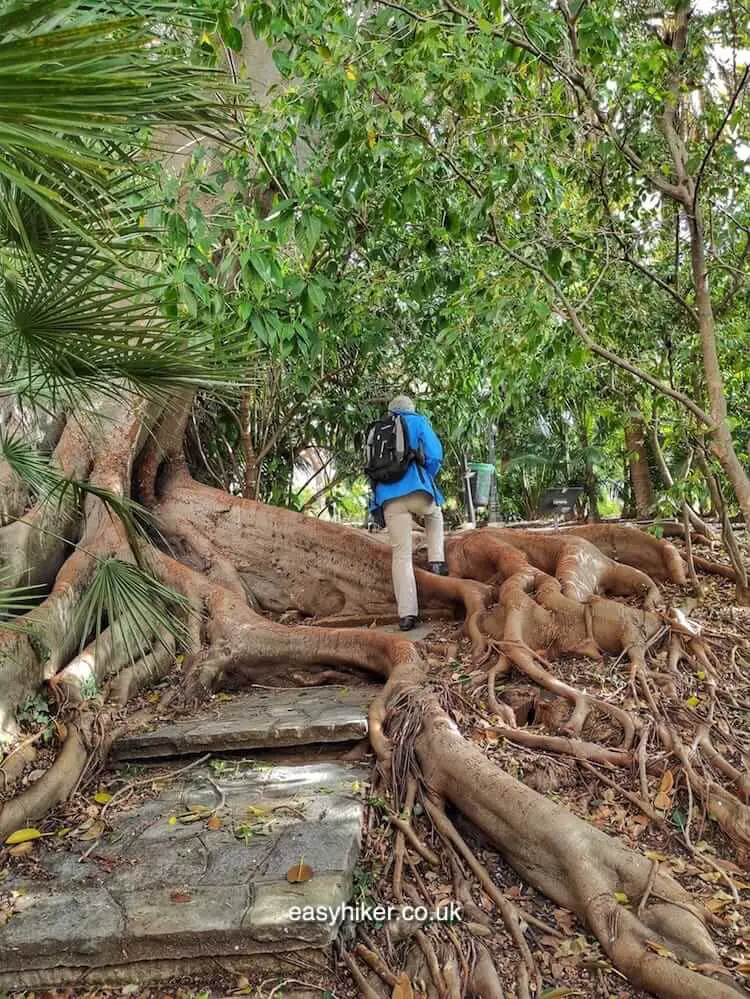 Secrets and Mysteries of the Gardens of Sanremo