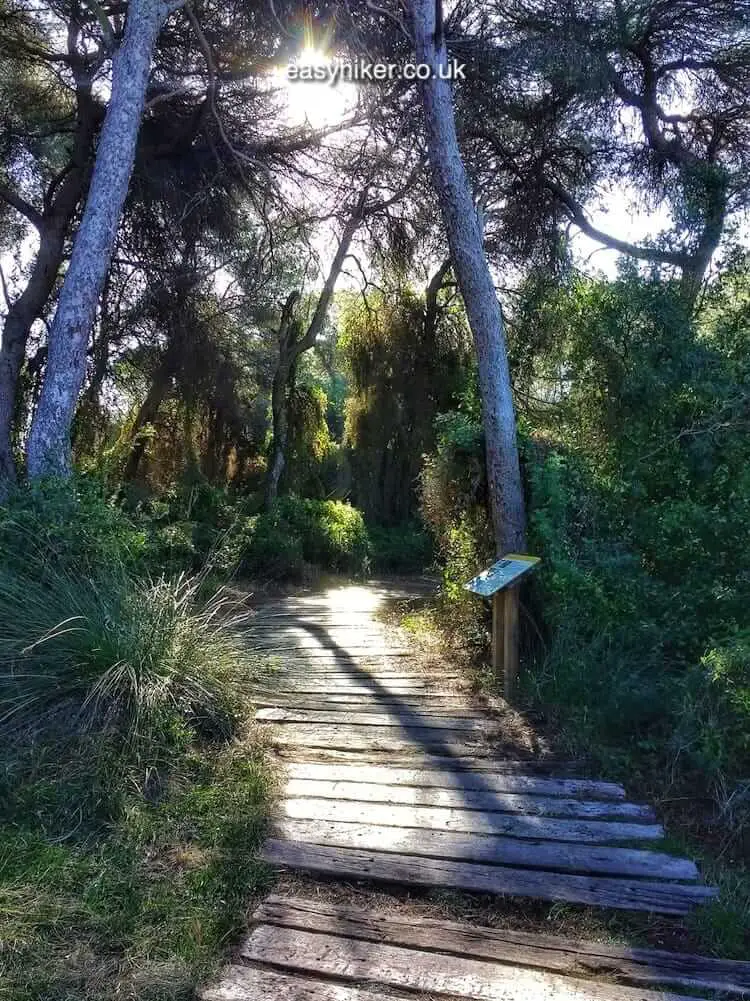 "Wetlands of Valencia"