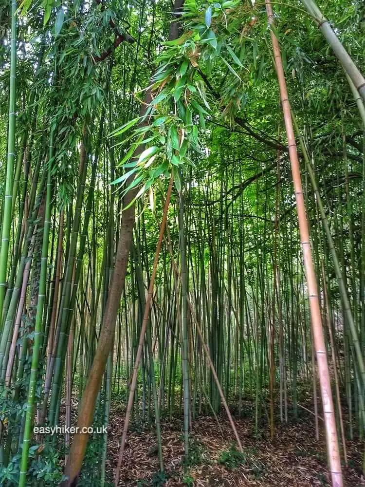 "Parc du Mugel Pudding and a Tropical Paradise"