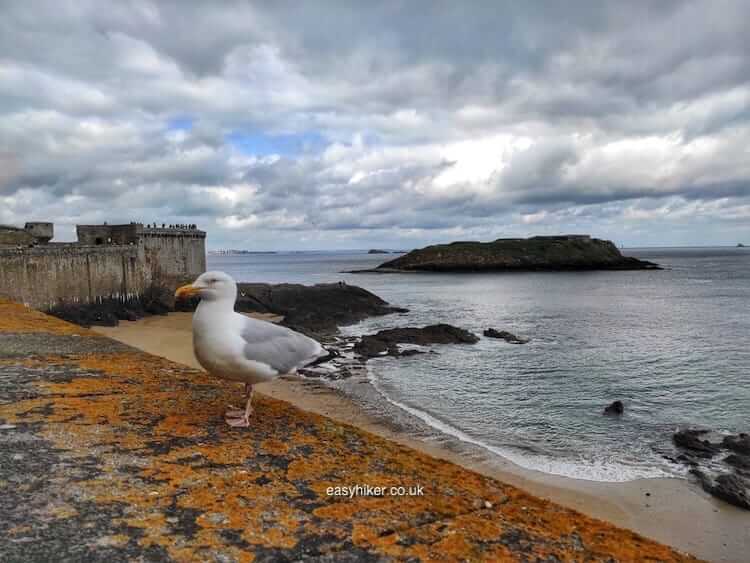 Fifty Shades of Grey of St Malo